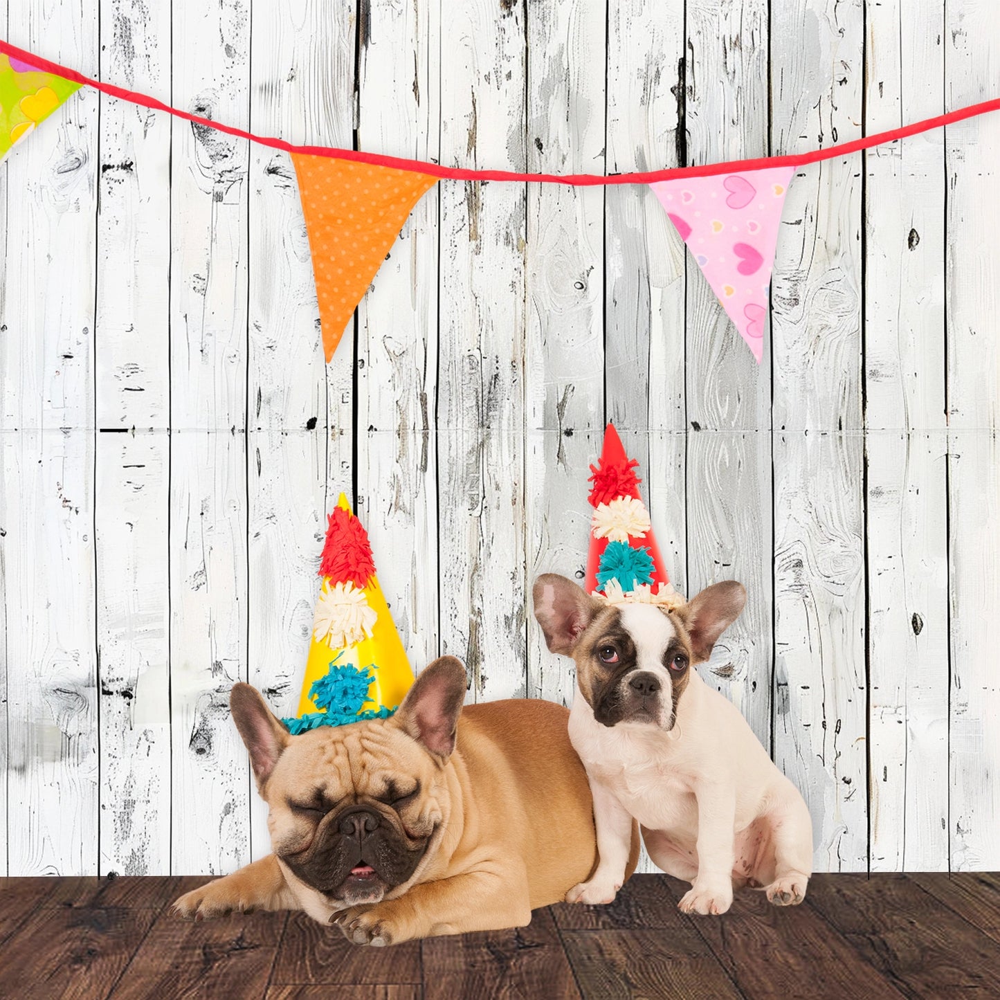 Two French bulldogs wearing party hats, one sitting and one lying down, in front of an ideasbackdrop Wood Backdrop Retro Rustic White Gray Wooden Floor Background for Photography Kids Photo Booth Video Shoot Studio Prop with colorful bunting hanging above.