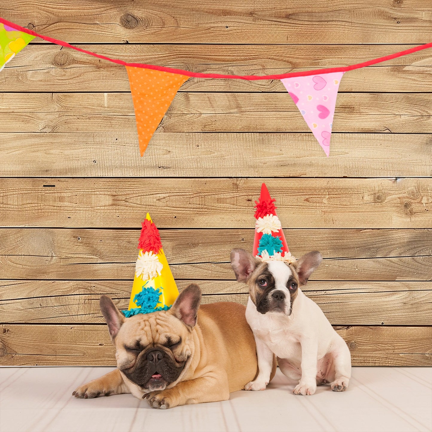 Two bulldogs wearing party hats sit in front of an ideasbackdrop 7x5ft Wooden Backdrop Baby Shower Wood Wall Background Party Decorations Props for Photographers Studio adorned with colorful triangle bunting, perfect for high-resolution printing.