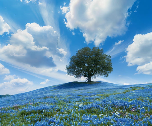 A lone tree stands on a hill surrounded by a field of blue flowers under a bright sky with scattered clouds, creating the Blue Sky Flowers Cover Old Tree Floral Backdrop-ideasbackdrop from ideasbackdrop, perfect for photography backgrounds with vivid colors.
