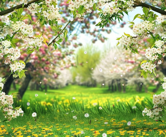 A scenic view of a blooming orchard with white and pink flowers framing the scene; lush green grass and yellow dandelions cover the ground under a clear blue sky, presented in vivid detail - the Cherry Flowers Meadow Grassland Floral Backdrop-ideasbackdrop by ideasbackdrop.