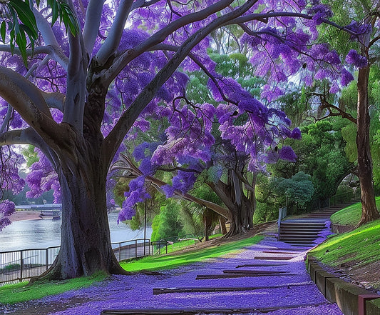 A scenic park pathway covered with vibrant Purple Tree Branches Leaves Scenic Backdrop-ideasbackdrop from ideasbackdrop, with a river and more lifelike landscapes in the background.