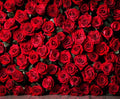 A dense arrangement of numerous red roses creates a lush and vibrant Red Rose Floral Valentines Wedding Shower Flower Backdrop - ideasbackdrop, perfect for a DIY photo booth at your next celebration.