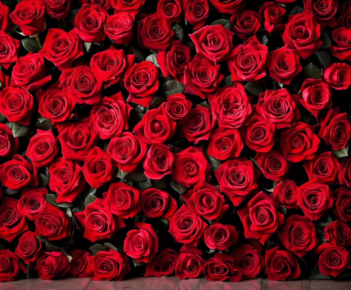 A dense arrangement of numerous red roses creates a lush and vibrant Red Rose Floral Valentines Wedding Shower Flower Backdrop - ideasbackdrop, perfect for a DIY photo booth at your next celebration.