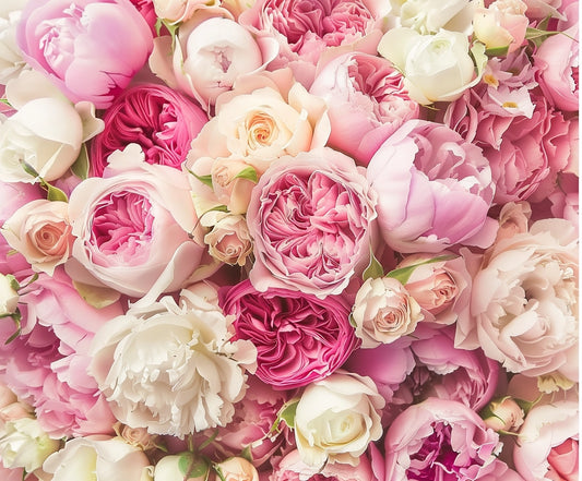 A close-up of a dense arrangement of various pink, white, and cream roses and peonies in full bloom creates the perfect Rose Spring Floral Mother Day Floral Backdrop -ideasbackdrop by ideasbackdrop for weddings or photo shoots.