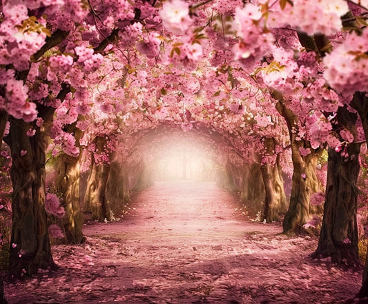 A pathway lined with blossoming pink cherry trees forms a tunnel under their branches, casting a serene, floral ambiance—perfect for stunning professional photography or creating an enchanting floral backdrop for any event with the ideasbackdrop Spring Cherry Blossom Tree Boulevard Floral Backdrop.