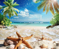  Summer Blue Sky Palm Tree Beach Backdrop